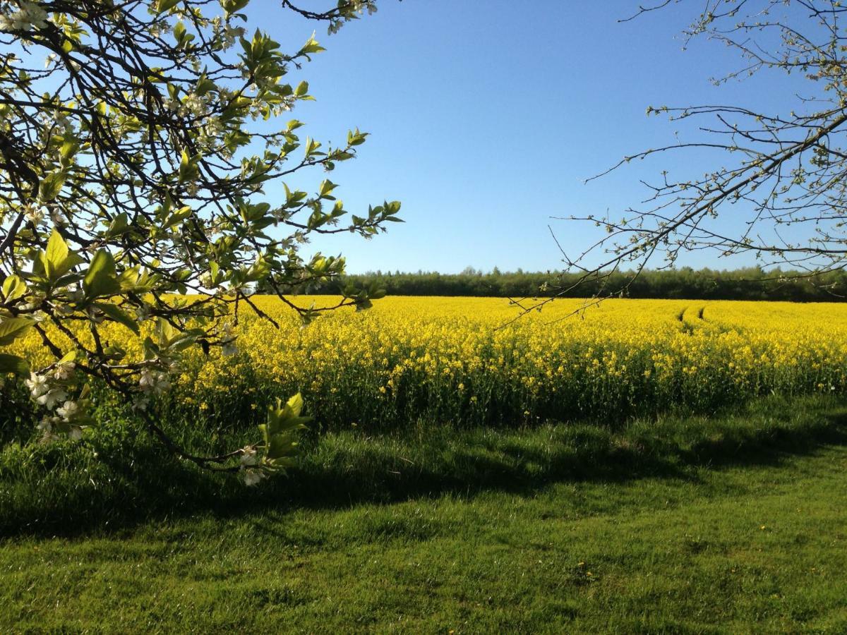 Ruheparadies Im Windfeld Vlotho Zewnętrze zdjęcie